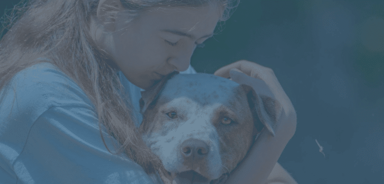 Keep Pets Cool During Hot Weather