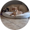 Greg Johnson profile picture