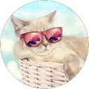 ChIJPWiAMpbHyIAR0h7N ZgN2KU 6e72ed67f0f5f2db201ad7cfbb017679