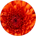 ChIJm2mOVdoOK4cRX23E2bR0XG8 028b11b9eabf8947de38fe05f20d5908