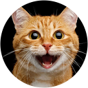 ChIJm2mOVdoOK4cRX23E2bR0XG8 4c5b20182581e8fc4b280330b4c7d5dc