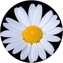 ChIJn8e IeOtRIYR7T4Ee4O0Jzg 683769e057eb33942275628269c4eb5b
