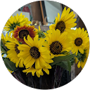 Reeses A. profile picture