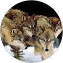 Stephen Sales profile picture