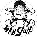 Sky Gulp profile picture