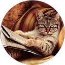 TheHarryGato profile picture