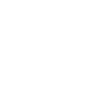 SafeNest logo white
