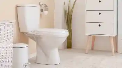 goettl june plumbing offers coupons 03 free toilet web