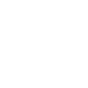 Inspection Icon