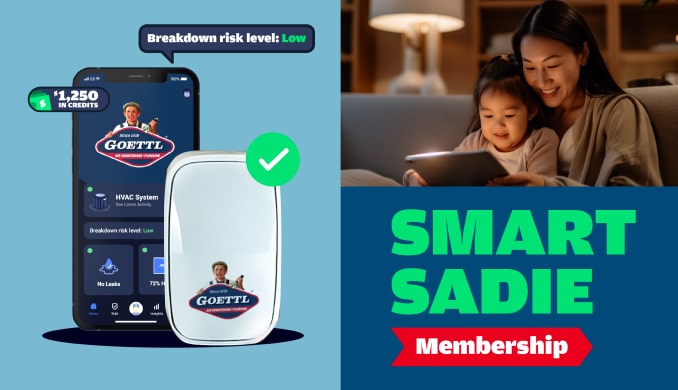 smart sadie membership plan promo